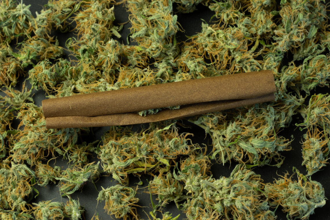 Your Dispensary Doesn't Own the Search Results It's Competing In, and That Changes Everything