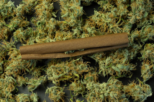 Your Dispensary Doesn't Own the Search Results It's Competing In, and That Changes Everything