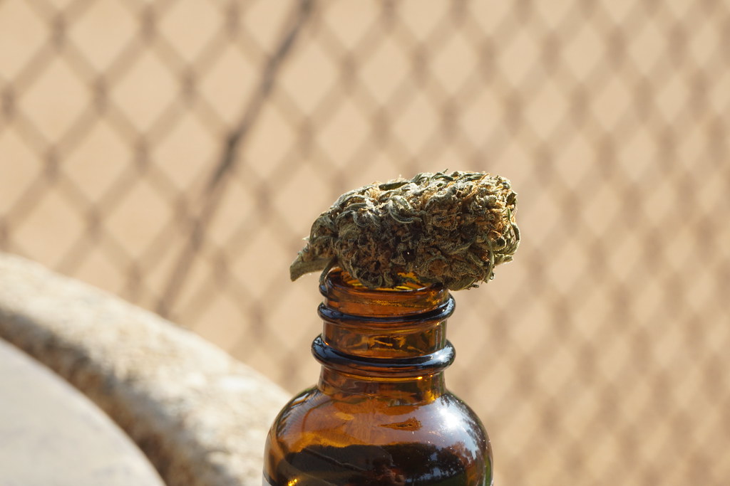 Dried cannabis bud resting on top of an amber glass bottle