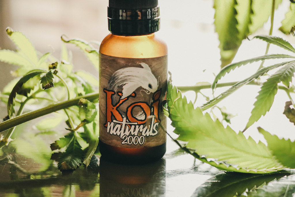 CBD tincture bottle